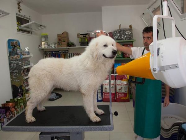 Vascellero Club Resort - foto 34966.jpg