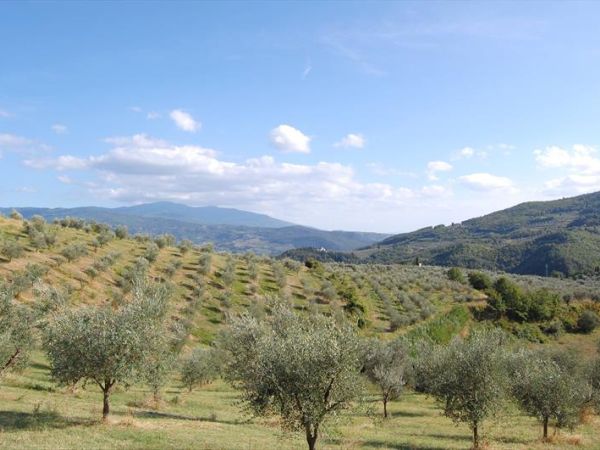 Agriturismo il Giardino - foto 35026.jpg