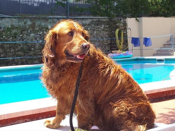 Hotel Villa Igea - foto 35035.jpg