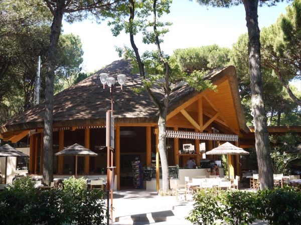 Camping mare e pineta  - foto 35126.jpg