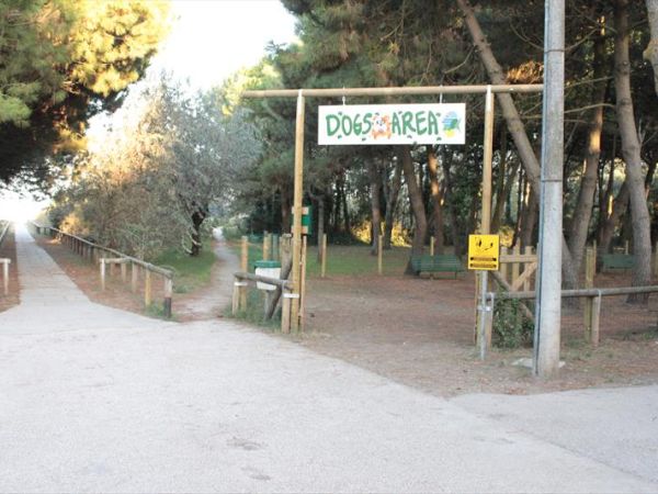 Camping mare e pineta  - foto 35127.jpg