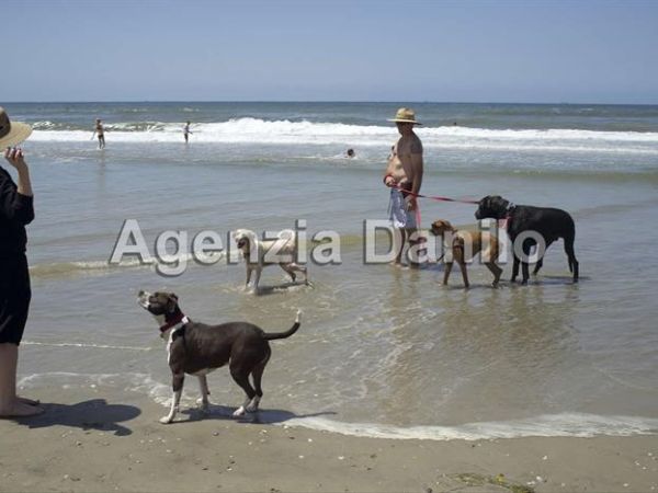 Case Vacanze Lidi Ferraresi - foto 35174.jpg