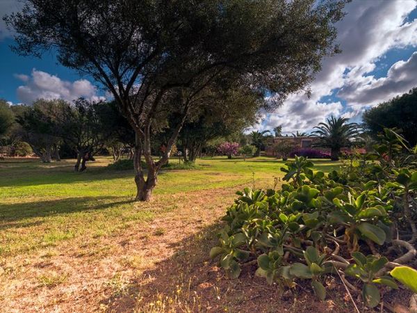 Case Vacanza Marina - Porto Rotondo  - foto 35214.jpg