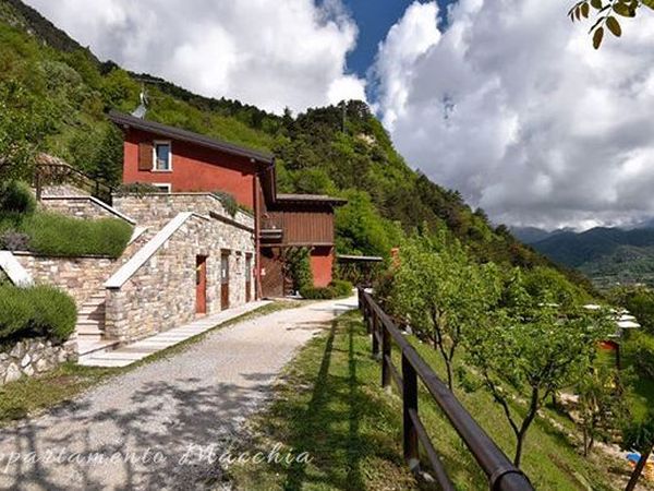 Agriturismo Collini - foto 35235.jpg