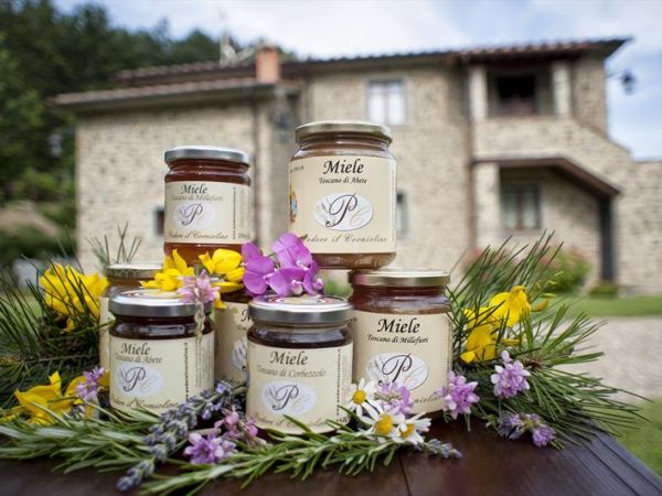 Podere il Corniolino - foto 35341.jpg