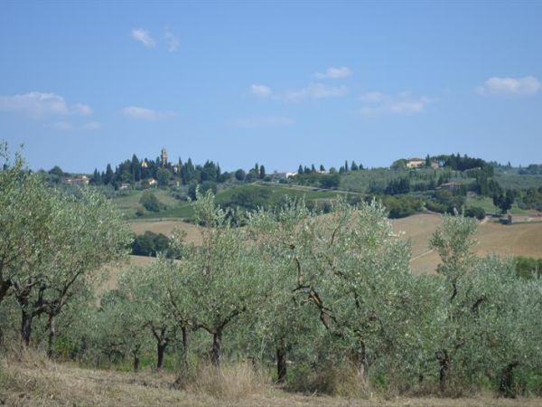 Tenuta Tizzauli - foto 35439.jpg