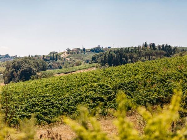 Tenuta Tizzauli - foto 35441.jpg