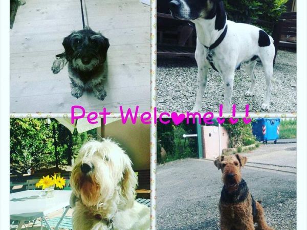 Camping Panorama del Chianti - foto 35612.jpg