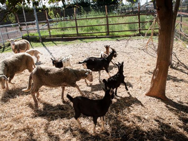 Agriturismo B&B La Meridiana - foto 35703.jpg