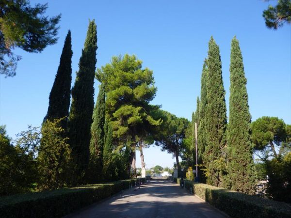 Agriturismo B&B La Meridiana - foto 35708.jpg