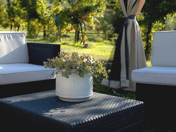 Agriturismo Country Room Il Moro - foto 35761.jpg