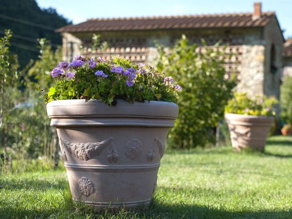 Agriturismo Country Room Il Moro - foto 35762.jpg
