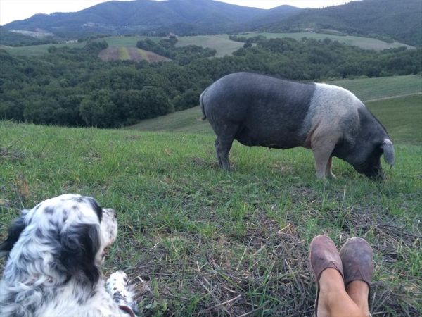 Agriturismo Fattoria Ricrio - foto 35812.jpg