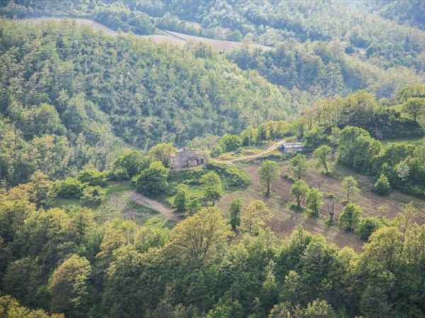 Agriturismo Frigino - foto 35911.jpg