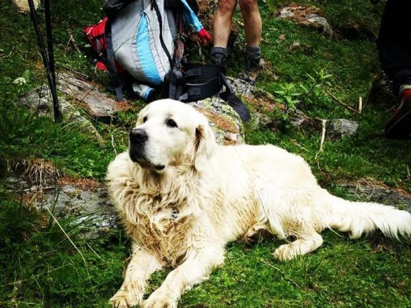 Pineta Naturalmente Hotels - foto 36047.jpg