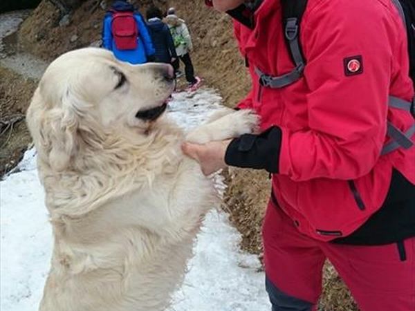 Pineta Naturalmente Hotels - foto 36051.jpg