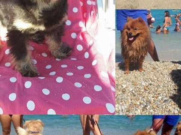 Hotel La Praia - foto 36080.jpg