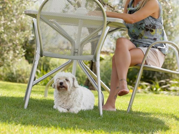 Agritur la Cort - foto 36241.jpg