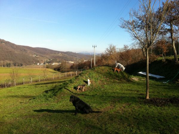 Agriturismo Il Cucciolo - foto 36298.jpg