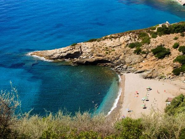 Tenuta delle Ripalte - foto 36357.jpg