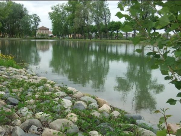 Belvedere laghi di Pontestura - foto 36390.jpg