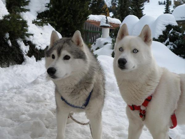 Alpen Hotel Corona Sport & Wellness - foto 36877.jpg