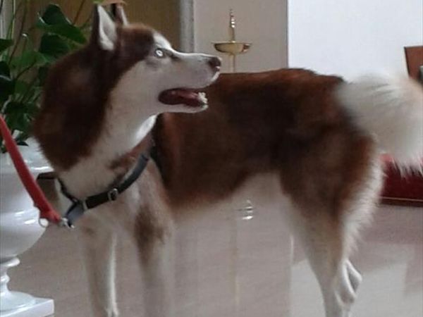 Grand Hotel Passetto - foto 36978.jpg