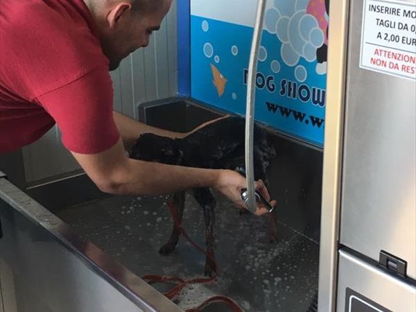 La Spiaggia di Pluto - foto 37061.jpg