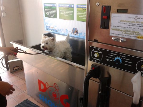 Bagno Tamerici Dog  - foto 37195.jpg