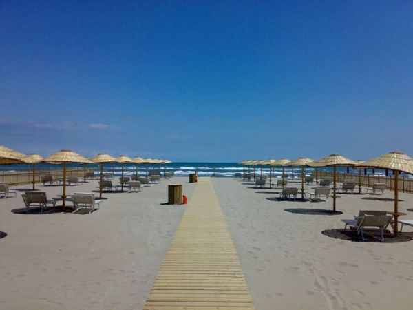 Bagno Tamerici Dog  - foto 37197.jpg