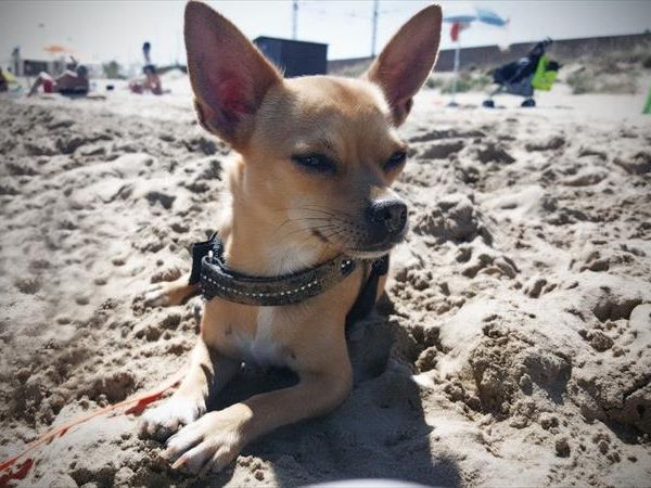 Hotel Astoria Gourmet & Relax  - foto 37250.jpg