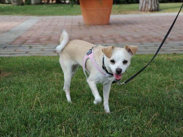 Hotel Dei Coralli - foto 37320.jpg