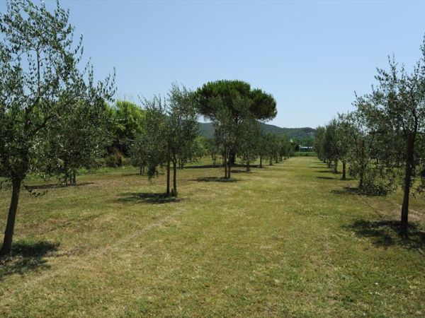 Hotel Dei Coralli - foto 37332.jpg