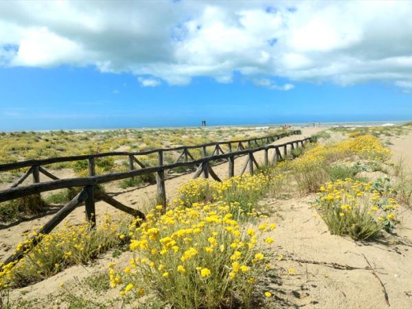 Campeggio Europa - foto 37619.jpg