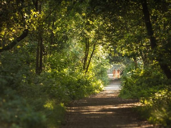 Campeggio Europa - foto 37620.jpg