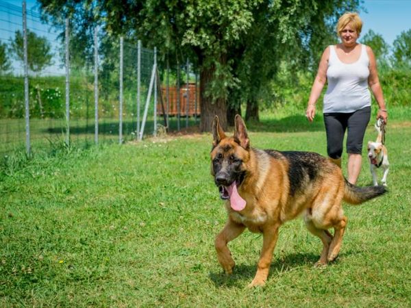 Altanea Green Camping - foto 37658.jpg