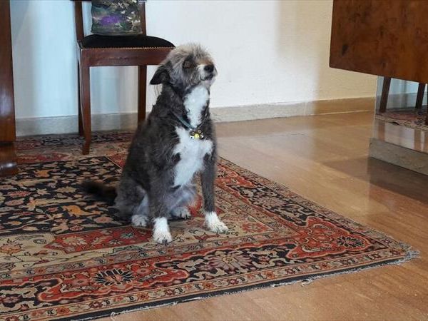 Grand Hotel Passetto - foto 37723.jpg