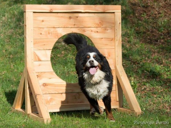 Chalet Baita nel bosco Ledro - foto 37740.jpg