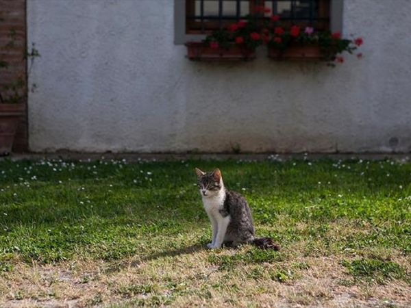 Agriturismo La Topaia - foto 37785.jpg