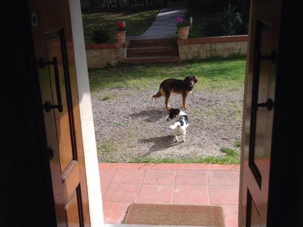 Agriturismo La Topaia - foto 37795.jpg