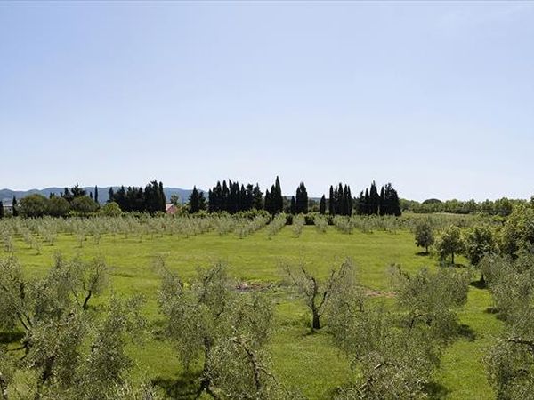 Casale Etrusco - foto 37826.jpg