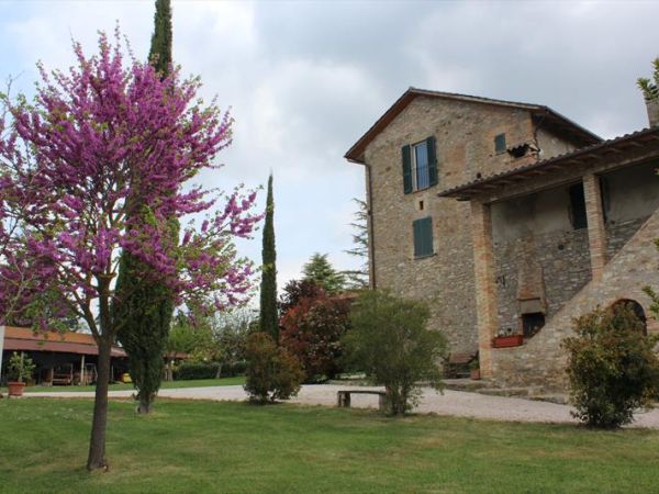 Fattoria di Rigone - foto 37848.jpg