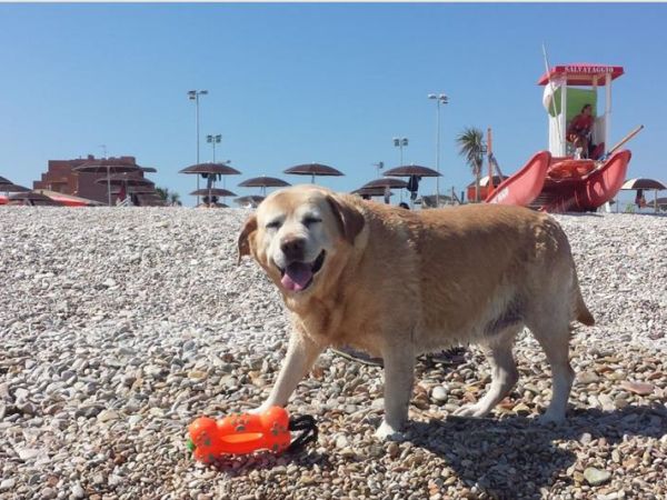 Baia Canaria - foto 38016.jpg