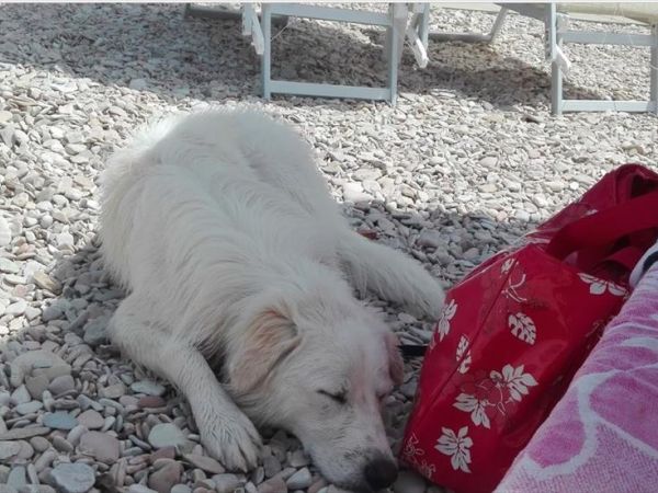 Baia Canaria - foto 38017.jpg