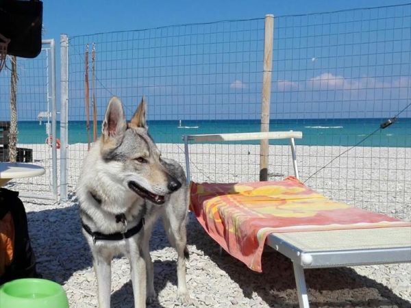 Baia Canaria - foto 38018.jpg