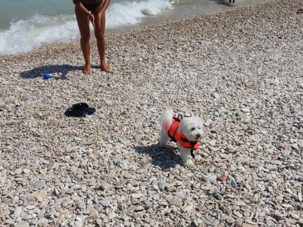 Baia Canaria - foto 38020.jpg