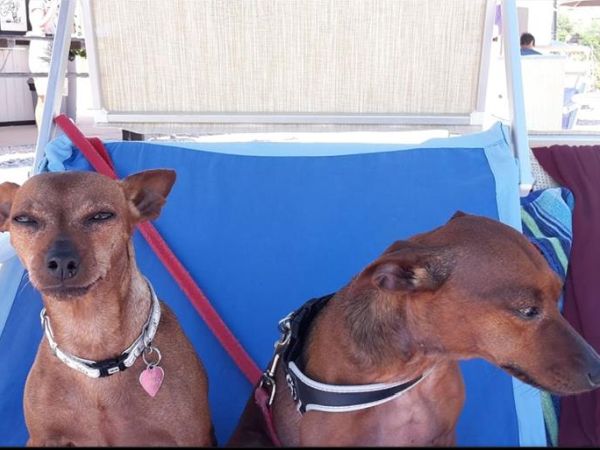 Baia Canaria - foto 38021.jpg