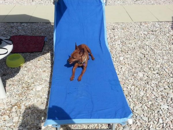 Baia Canaria - foto 38023.jpg