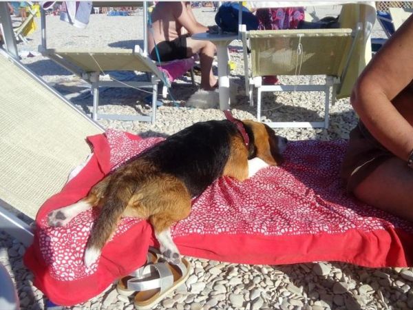 Baia Canaria - foto 38024.jpg