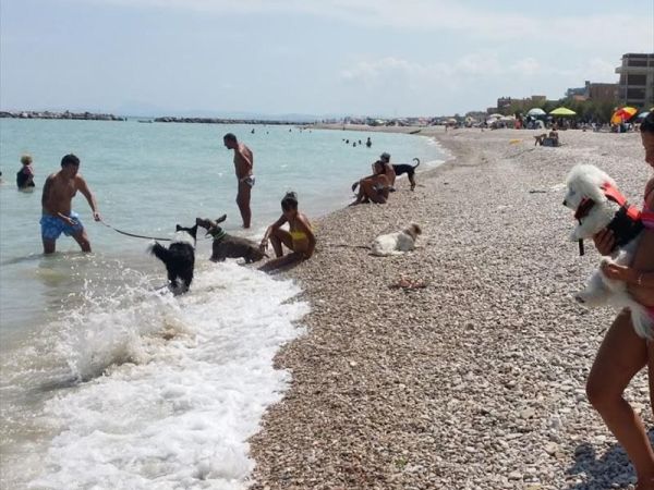 Baia Canaria - foto 38025.jpg